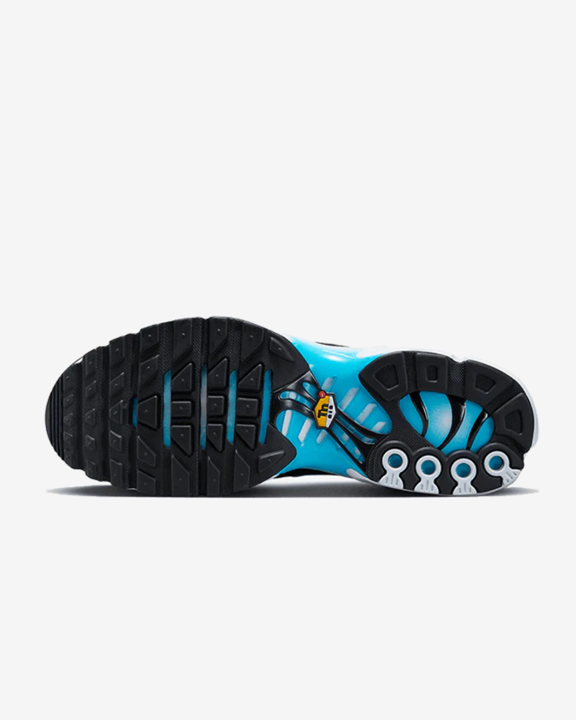Sneakers Nike Air Max Plus Baltic Blue - SNEAKERS PRIME